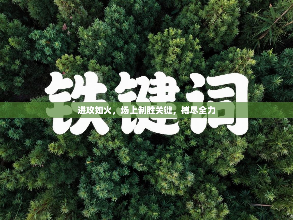 进攻如火，场上制胜关键，搏尽全力  第2张