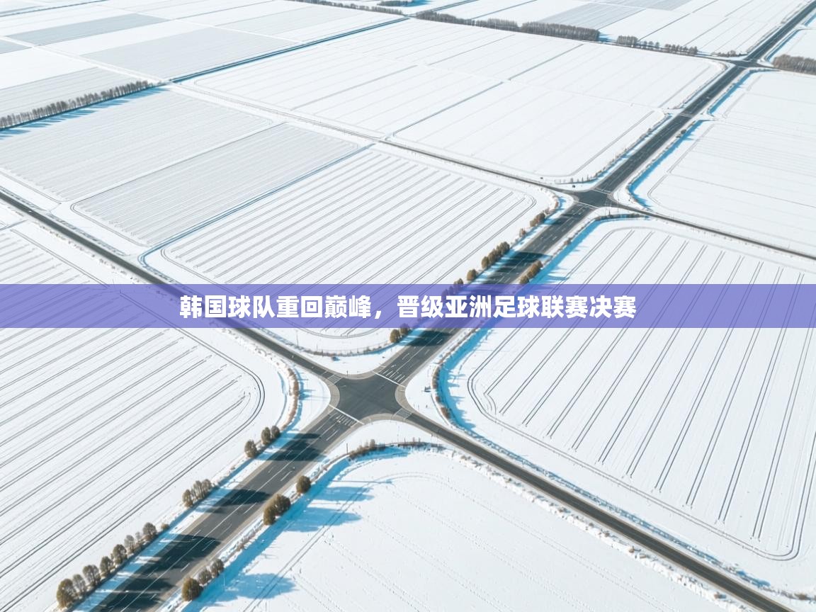 韩国球队重回巅峰，晋级亚洲足球联赛决赛  第2张