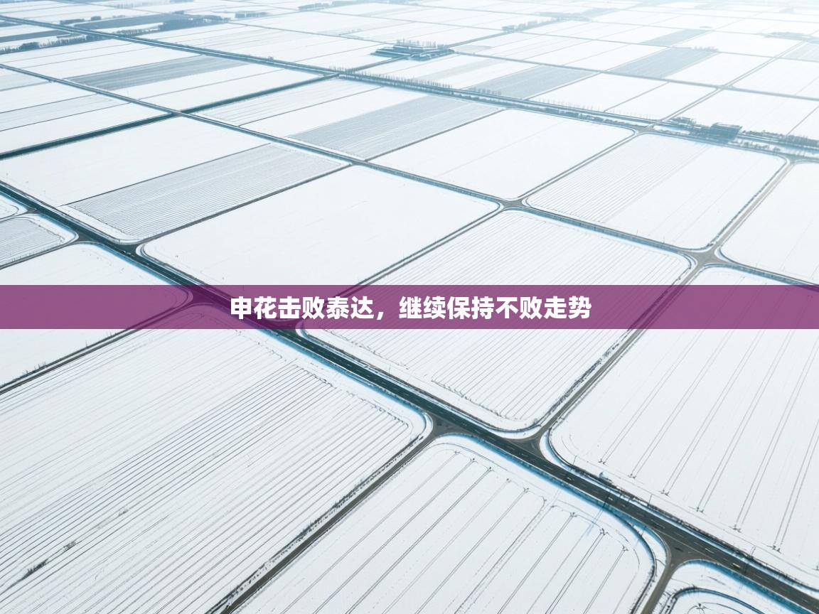 申花击败泰达,继续保持不败走势 第2张