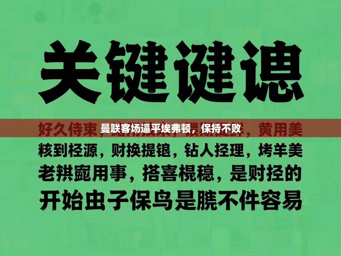 曼联客场逼平埃弗顿，保持不败  第2张